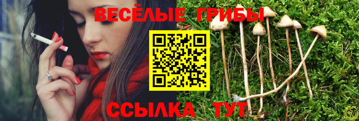 Меф МЯУ МЯУ   Cocaine  Бузулук  Вход с VPN  Каннабис  Магазин наркотиков  Меф  Гашиш 