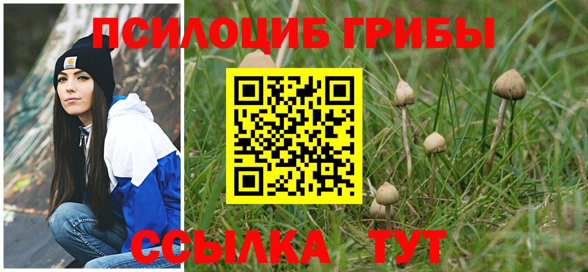 Галлюциногенные грибы Cubensis  Галлюциногенные грибы Psilocybe  Вход с VPN  Бузулук 